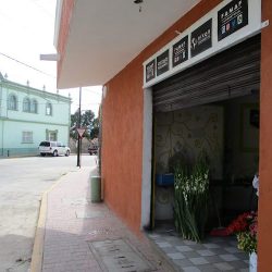 Famaf FloristerÍa