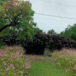 Finca Las Flores