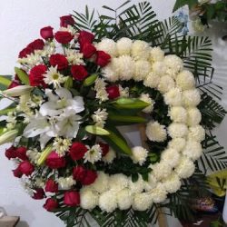 Fioricia Distribuidora - Sucursal Apatzingán