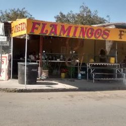 Flamingos