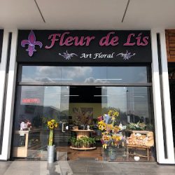 Fleur De Lis, Art Floral.