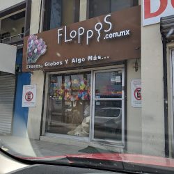 Floppos. Globos, Flores Y Algo Más...