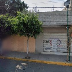 Flor De Invierno