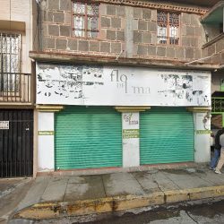 Flor De Lima