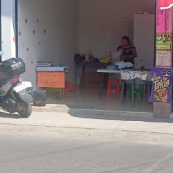 Flor De Maria
