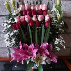 Flor De Maria
