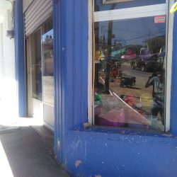 Flor De Mayo