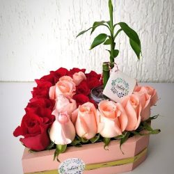 Flor De Sakura