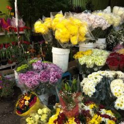 Flor Depot