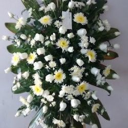 Flor Elen