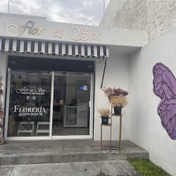 Flor Es Ser Florería