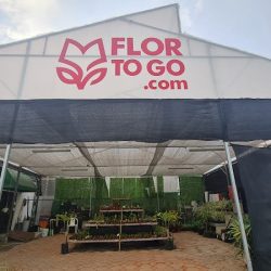 Flor To Go