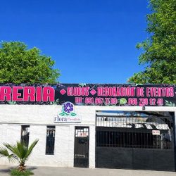 Flora Floristería