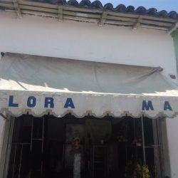 Flora Max