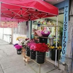 Floral Bouquets Pachuca