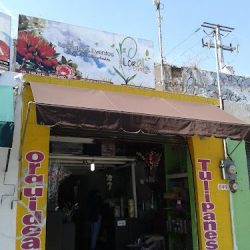 Floral Express