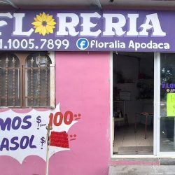 Floralia Apodaca