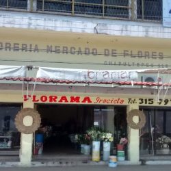 Florama Graciela