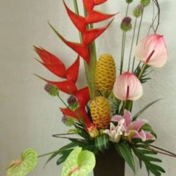 Floramour Chilpancingo