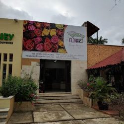 Floranet