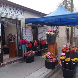 Floranza Floreria & Eventos