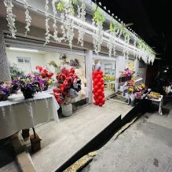 Floraría Las Villas 2