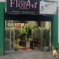Florart Floreria Puebla