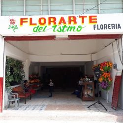 Florarte Del Istmo