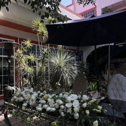 Florcali