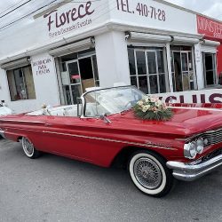 Florece Floreria