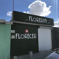 Florecer Florería