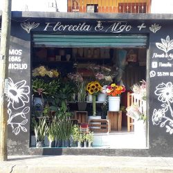 Florecita & Algo +