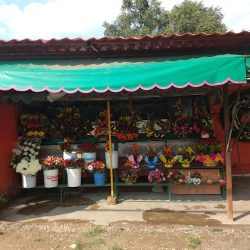 Florely Decoraciones
