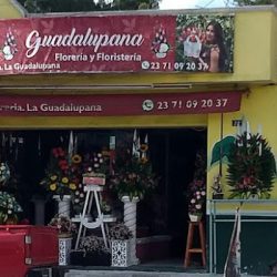 Florerìa Guadalupana