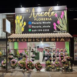 Floreri Nicole