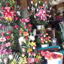 Floreria