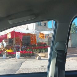 Floreria