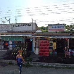 Floreria