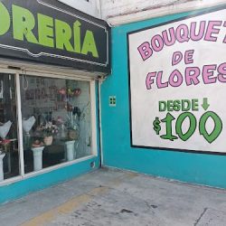 FlorerÍa