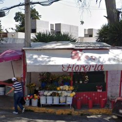 Floreria
