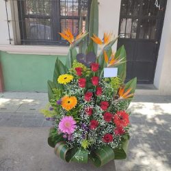 Floreria