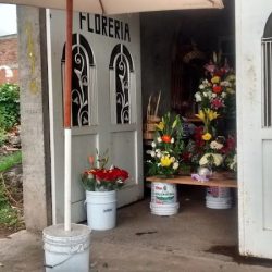 Floreria