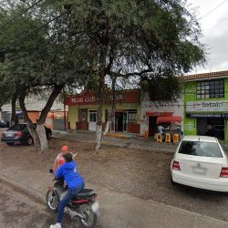 Floreria