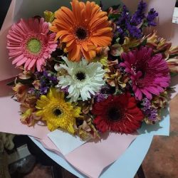 Floreria
