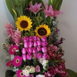 Floreria