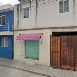 Floreria