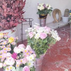 Florería