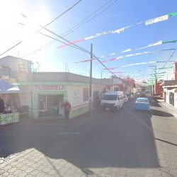 Floreria
