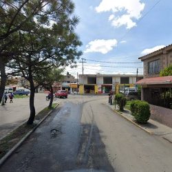 Floreria