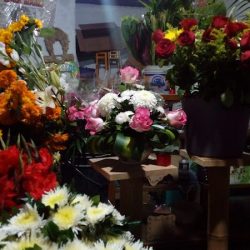 Floreria